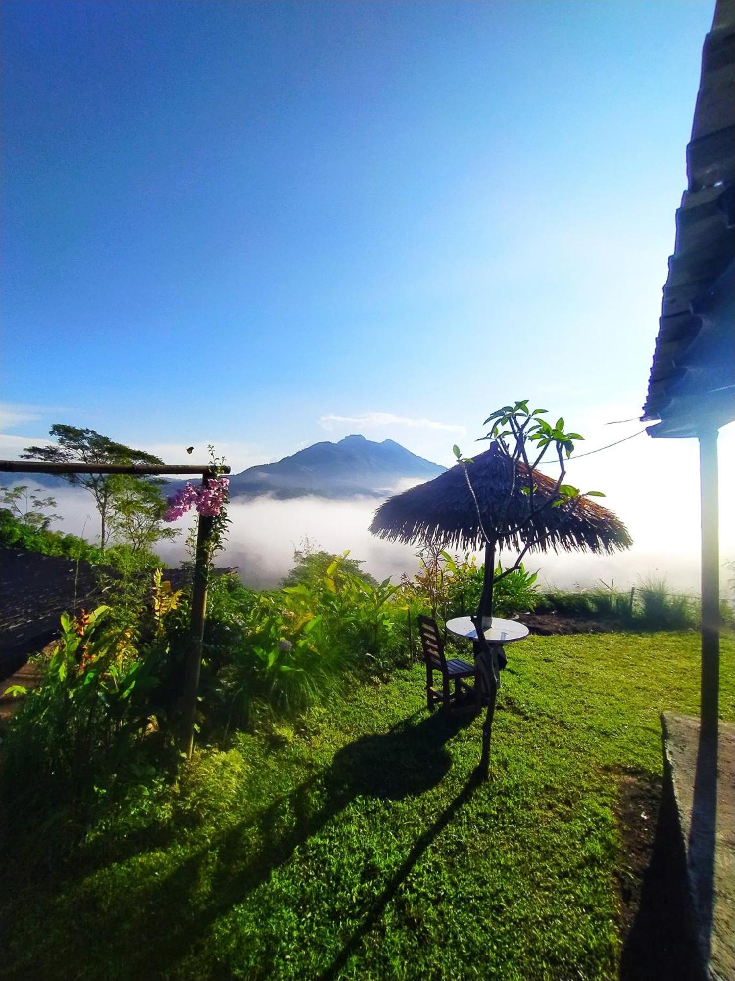 Kintamani Adventures 'Hide In Nature Lodge' Екстер'єр фото